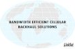 BANDWIDTH EFFICIENT CELLULAR BACKHAUL SOLUTIONS … Cellular Backhaul Solutions 4.2.pdf · • Backhaul solutions for CDMA, 2G & 3G GSM networks ... E1 Interface • Interfaces directly