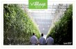 PowerPoint Presentationvillagefarms.com/.../08/VF-Investor-Presentation-FINAL-2-Jun-7-17.pdf · This presentation contains certain "forward looking statements". These statements relate