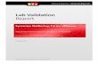 Lab Validation Report - Insight · Lab Validation Report Symantec NetBackup 7.6 for VMware Robust Data Protection Solutions for VMware Environments By Vinny Choinski, Senior Lab Analyst,