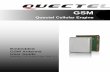 GSM - Quectel Wireless Solutions€¦ · GSM Quectel Cellular Engine Embedded GSM Antenna User Guide ... design it. For designing this antenna, firstly, you have to design and simulate