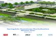 Springdale Downtown Revitalization Master Plan - Design · Springdale Downtown Revitalization Master Plan. ... west of Old Missouri Road . ... for the downtown revitalization