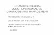 CRANIOVERTEBRAL JUNCTION ANOMALIES ... JUNCTION ANOMALIES-DIAGNOSIS AND MANAGEMENT PRESENTER - DR ANAND V K MODERATOR- DR P S CHANDRA DEPARTMENT OF NEUROSURGERY AIIMS, NEW DELHI 9/2/2011