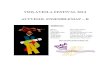 VIOLAVIOLA FESTIVAL 2014 ALTVIOOL ENSEMBLEMAP Bdutchviolasociety.nl/wp-content/uploads/2014/05/ViolaViola_DVS... · VIOLAVIOLA FESTIVAL 2014 ALTVIOOL ENSEMBLEMAP ... Puccini: Crisantemi