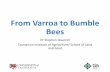 From Varroa to Bumble Bees - University of Tasmania · From Varroa to Bumble Bees ... •Japanese/Thailand ... •Carpenter bees •Megachile rotundata* • Stingless social bees