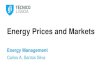 Energy Prices and Markets - Técnico Lisboa - Autenticação · Raw crude (Brent) + Refining process + + Margins End Price ... • Maximizing profit=max ... • Difference between