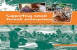 Supporting small forest enterprises - pubs.iied.orgpubs.iied.org/pdfs/13548IIED.pdf · Supporting small forest enterprises A cross-sectoral review of best practice. Supporting small