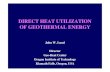 DIRECT HEAT UTILIZATION OF GEOTHERMAL ENERGY · DIRECT HEAT UTILIZATION OF GEOTHERMAL ENERGY John W. Lund ... vegetable dehydration (onion) ... POWER PROJECT NEUSTADT GLEWE,