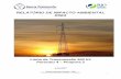 RELATÓRIO DE IMPACTO AMBIENTAL RIMA - miga.org · Relatório de Impacto Ambiental – RIMA Linha de Transmissão 500 kV Paracatu 4 –Pirapora 2 1 RELATÓRIO DE IMPACTO AMBIENTAL