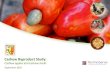 Cashew Byproduct Study - African Cashew Initiative · This study aims to create three generic business plans for adding value to cashews through processing cashew apples and cashew