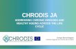ADDRESSING CHRONIC DISEASES AND HEALTHY AGEING …chrodis.eu/wp-content/uploads/2015/06/WP4-Geriatria-en-Aragon-19... · ADDRESSING CHRONIC DISEASES AND HEALTHY AGEING ACROOS THE