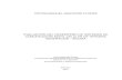 EVALUACION DEL DESEMPE´ NO DE SISTEMAS DE˜ …artemisa.unicauca.edu.co/~vflorez/Master/Master_thesis.pdf · 3.10.4 Canal F´ısico de Control Com un Secundario (SCCPCH) . . . .