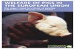 WELFARE OF PIGS IN THE EUROPEAN UNION · WELFARE OF PIGS IN THE EUROPEAN UNION ... living space and access to resources to meet the ... inadequate space and lack of nesting material