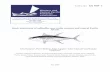 Stock assessment of yellowfin tuna in the western and ... assessment of yellowfin tuna in the western and central Pacific Ocean ... age- and spatially-structured population model.