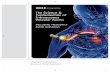 The Science & Fundamentals of Intraosseous … of Intraosseous Vascular Access ... ANATOMY AND PHYSIOLOGY ... The Science & Fundamentals of Intraosseous Vascular Access