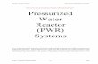 Pressurized Water Reactor (PWR) Systems€¦ · Pressurized Water Reactor (PWR) Systems For a nuclear power plant to perform the function of generating electricity, many different