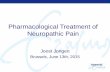 Pharmacological Treatment of Neuropathic Pain€¢Pharmacological treatment of neuropathic pain should be based on clinical evidence and rational pharmacotherapy •Neuropathic pain