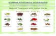 Manufacturers and Exporters of Herbal Henna, Henna based ...f03.s.alicdn.com/kf/UT8_LRCXv8XXXc_PVbXQ.pdf · Manufacturers and Exporters of Herbal Henna, ... New Delhi – 110088,