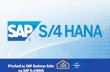 on-Premise na SAP S/4HANA€’ SAP ERP 6.0 on lower NetWeaver level with or without Enhancement Package SAP Simple Finance SAP Simple Finance Add-On 2.0 SAP Fiori 2.0 (for sFIN) SAP