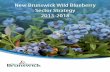 New Brunswick Wild Blueberry Sector Strategy 2013-2018 ·  · 2017-03-22New Brunswick Wild Blueberry Sector Strategy . ... land leveling, custom operations, production management,