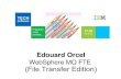 WebSphere MQ FTE (File Transfer Edition) - IBM · WebSphere MQ FTE (File Transfer Edition) ... Logging capabilities are limited and ... Allows MQ/FTE Agents to connect in bindings