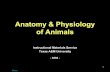 Anatomy & Physiology of Animals - Montgomery ISDschools.misd.org/page/open/24699/0/anatomy and phisiology animals.pdfAnatomy & Physiology of Animals ... •Urinary System •Endocrine