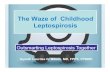 The Waze of Childhood Leptospirosis - pidsp · The Waze of Childhood Leptospirosis Gyneth Lourdes G. Bibera, MD, FPPS, FPIDSP Outsmarting Leptospirosis Together