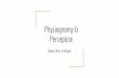 Physiognomy & Perception - AP English at Centennial High ...centennialapenglish.weebly.com/.../jane_eyre_and_physiognomy.pdf · Thesis In Jane Eyre, Brontë uses the detailed physiognomy