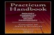 Practicum Handbook - Concordia University - Practicum...This booklet is a guide to understanding and successfully accomplishing a practicum experience ... CAS PRACTICUM HANDBOOK 2