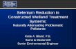 Selenium Reduction in Constructed Wetland … Presentations/July...Selenium Reduction in Constructed Wetland Treatment Systems: Naturally Attenuating Problematic Pollutants Katie A.