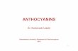 ANTHOCYANINS - Semmelweis Egyetemsemmelweis.hu/farmakognozia/files/2015/04/Anthocyanins15.pdfSemmelweis University, Department of Pharmacognosy 2015 1 Anthocyanins • Anthocyanins