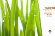 Why Green Nutrition? Exploring the Nutritional Benefits of Wheat Grass ...€¦ ·  · 2017-09-07Why Green Nutrition? Exploring the Nutritional Benefits of Wheat Grass for Pets ...