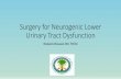 Surgery for Neurogenic Lower Urinary Tract Dysfunction · Surgery for Neurogenic Lower Urinary Tract Dysfunction ... •In patients who refuse other therapy ... (2003) Transvaginal