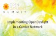 Implementing OpenDaylight in a Carrier Network · • Evolving SDN/NFV practice. Topics •PEN Platform ... via Tail-F for Juniper & Cisco • NFV platform: ... MPLS-tag based encapsulation