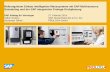 Reibungsloser Einbau intelligenter Messsysteme mit SAP ... Einbau... · Reibungsloser Einbau intelligenter Messsysteme mit SAP Multiresource ... Standard SAP MRS Training (PLM360)