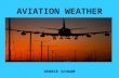 [PPT]AVIATION WEATHER - Embry–Riddle Aeronautical …wx.erau.edu/reference/AVIATION_WEATHER.ppt · Web viewAVIATION WEATHER DEBBIE SCHAUM Cross section cont. This should display