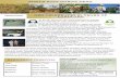 North East Downs News Landcare - nedlandcare.org.au News February-March 2016.pdf · North East Downs News DATE CLAIMER SOUTH MYALL LANDCARE GROUP, FRIDAY 22ND APRIL 2016 ... Graham
