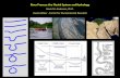 Kevin M. Anderson, Ph.D. Austin Water - Center for ... · River Process: the Fluvial System and Hydrology Kevin M. Anderson, Ph.D. Austin Water - Center for Environmental Research