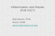 Inflammation and Repair (Fall 2017) - opt.uh.edu Chronic Acute versus chronic inflammation are distinguished by duration and type of infiltrating inflammatory cells. 6 2. Acute inflammation.
