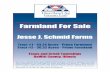 Farmland For Sale - Heartland Ag Group · Farmland For Sale Jesse J. Schmid Farms Tract #1 - 43.24 Acres - Prime Farmland Tract #2 - 36.32 Acres - Prime Farmland Texas and Creek Townships