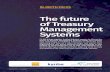 The future of Treasury Management Systems - BELLIN | … ·  · 2016-10-05The future of Treasury Management Systems ... Using spreadsheets has never been so risky, which is why more