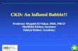 CKD: An Inflated Bubble?! - nefroloji.org.tr in the Community (Did we Invent a Disease?) UK CKD. KDOQI. eGFR Reporting. Classification. Sheffield Kidney Institute K/DOQI 2002 CKD Classification.
