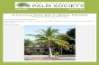 A Coconut Palm Ban in Miami, Florida? Coconut Palm Ban in Miami, Florida? Story and photos by Elvis Cruz Dear Friends and Fellow Palm Enthusiasts, I know this sounds strange, but I