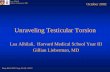 Unraveling Testicular Torsion - Lieberman's eRadiologyeradiology.bidmc.harvard.edu/LearningLab/genito/Alhilali.pdf · Lea Alhilali Gillian Lieberman, MD Unraveling Testicular Torsion