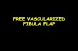 FREE VASCULARIZED FIBULA FLAP - Alpha Hand …alphahandcentre.com/.../2014/08/Free-Vascularised-Fibula-Flap.pdf · POSTERIOR ARTERY DUPLEX ULTRASONOGRAPHY ANGIOGRAPHY ... Free Fibula