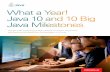 Java 10 and 10 Big Java Milestones ... - developer.oracle.com · Introduction: Twelve Months of Java Excitement Since its first release in 1995, the Java language and Java platform