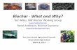 Biochar - What and Why? - T. R. Miles€¦ · BIGCHAR AUS . . Adapting a Greenhouse Boiler to make Biochar . T R Miles Technical Consultants, Inc. 25 10 MMBtuh Boiler . ... Biochar