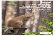 MAIN REPORT - AECOM · O’Donoghue (Lynx UK Trust), Petrina Rowcroft (AECOM), and Steve Piper ... Main report’, Application for the reintroduction of Lynx to the UK government,