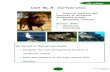 Unit 5L.5: Vertebrates - Science Curriculum Office … · 23 Life science Grade5, Unit 5L.5 Vertebrate Invertebrates: Animals without a backbone Vertebrates: Animals with backbone