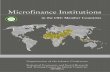 MICROFINANCE INSTITUTIONS - SESRIC · 4 MICROFINANCE INSTITUTIONS IN THE OIC ... special microfinance social investment fund within the OIC ... it is worth mentioning that the present