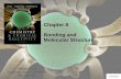 Chapter 8 Bonding and Molecular Structure · Chapter 8 Bonding and Molecular Structure ... Chemical Bonding . Ionic Bonding: complete transfer of 1 or more electrons from one atom